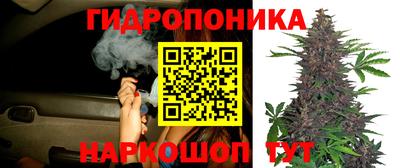 соль ск Тулун
